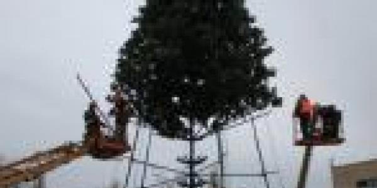 Демонтаж главной городской елки займет 3-4 дня