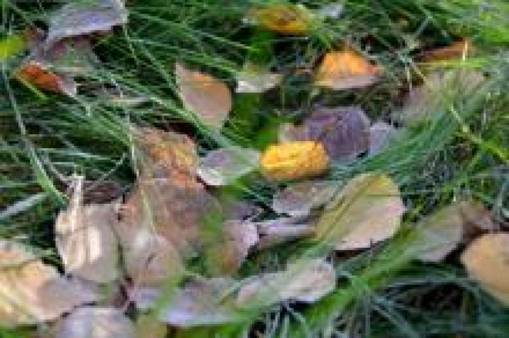 В Кременчуге похолодает сразу на 10 градусов