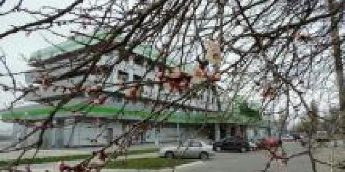 В Кременчуге зацвела абрикоса 