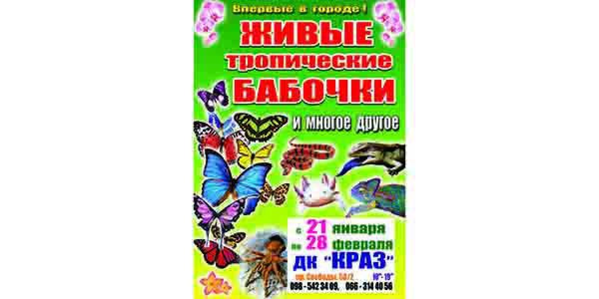 В Кременчуге состоится лето среди зимы