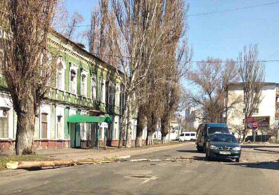 В Кременчуге порывистый ветер «уложил» дерево на проезжую часть