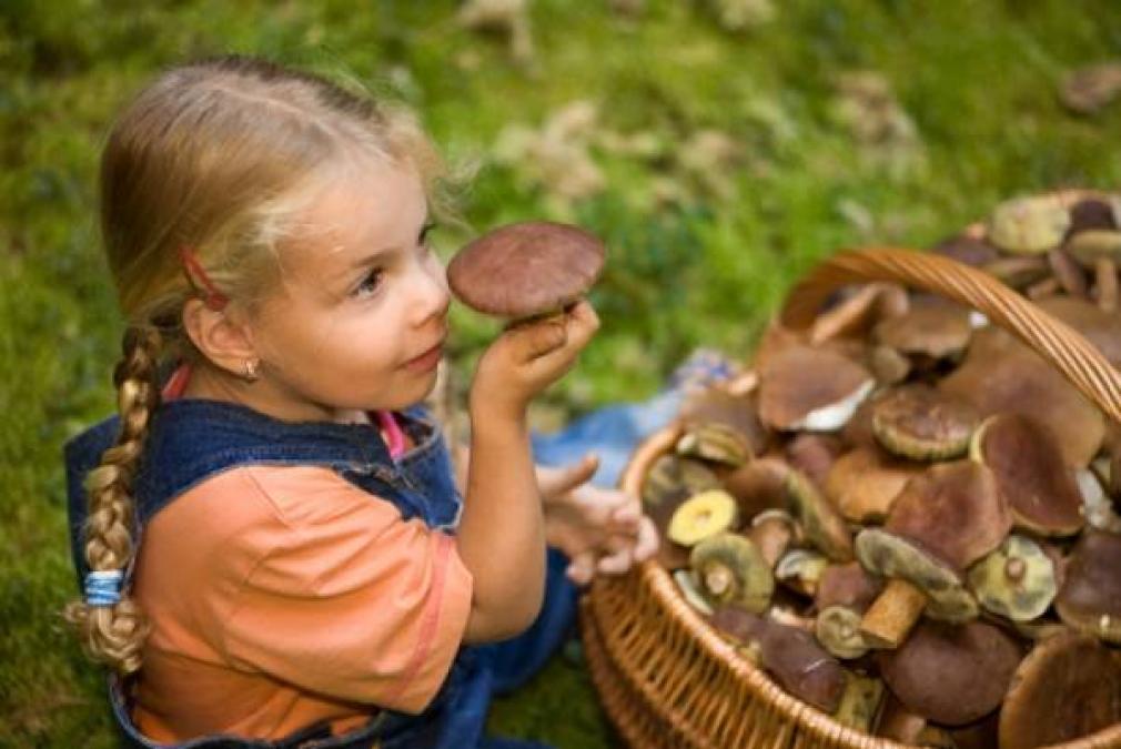 Дворічна кременчужанка отруїлася грибами