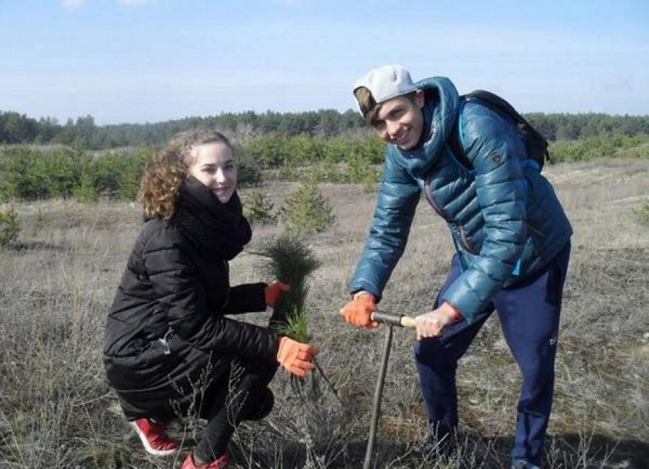 Пять тысяч хвойников посадили ученики 4 кременчугского лицея