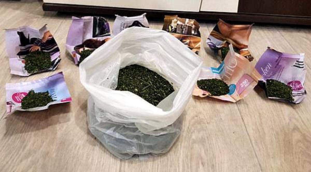 У кременчужанина изъяли пакет с марихуаной и оружие