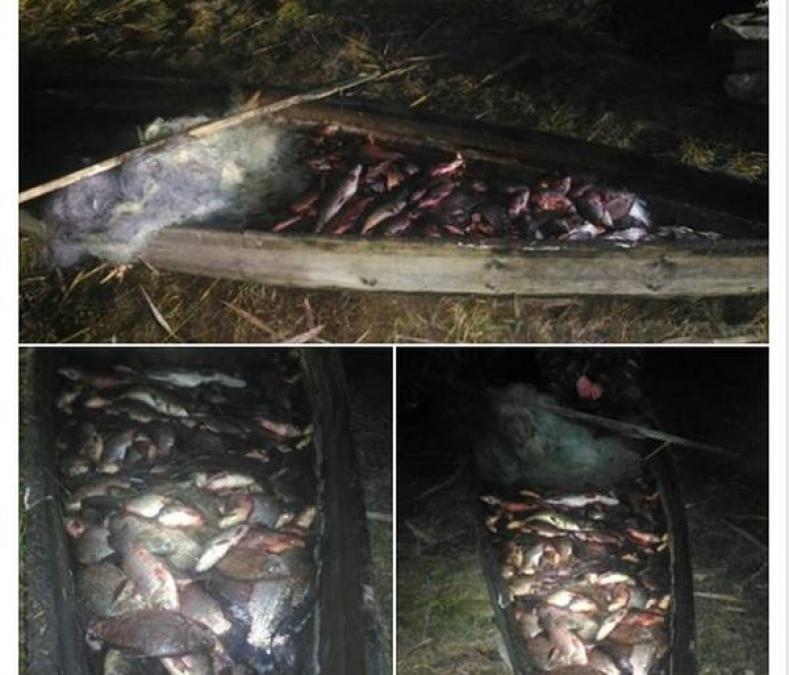 Кременчугские студенты в Киеве «воюют» за стипендии