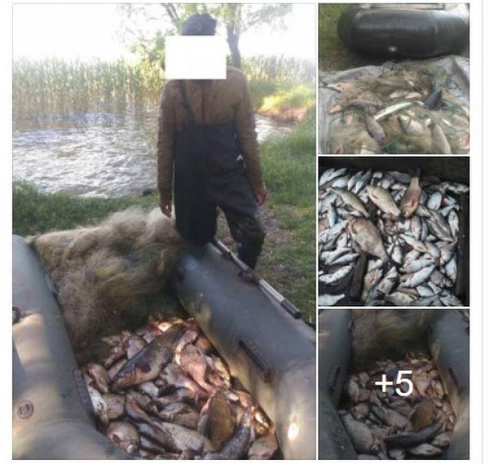 Браконьєрами завдано збитку на суму понад 140 тисяч гривень та вже відшкодовано 55 тисяч гривень.