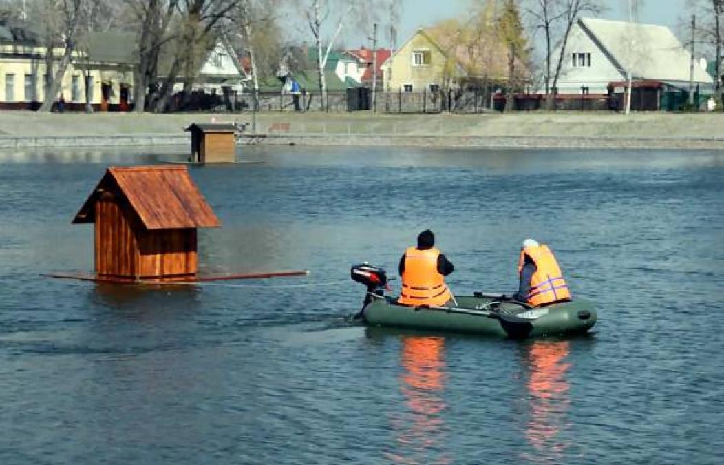 Пара лебедей в Городском саду обзавелась новым жильем