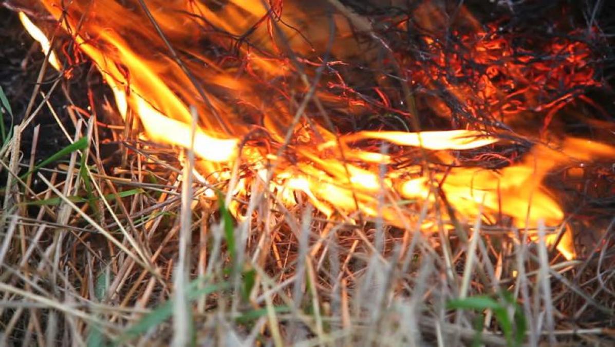 Під Кременчуком згоріло 4 га сухої трави