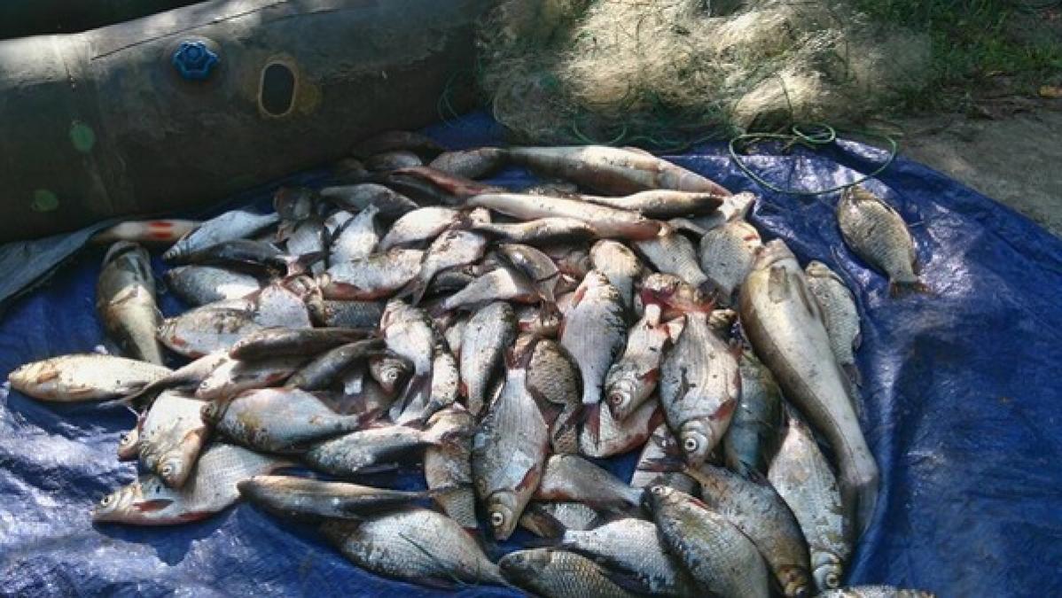 Під Кременчуком браконьєр наловив собі на біду 13 кг риби