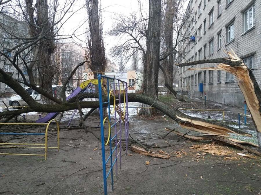У центрі Кременчука трухляве дерево впало на дитячий майданчик