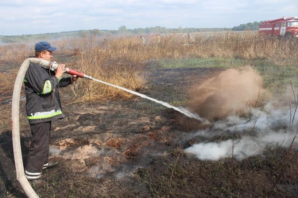 Під Кременчуком знову тліють торф’яники