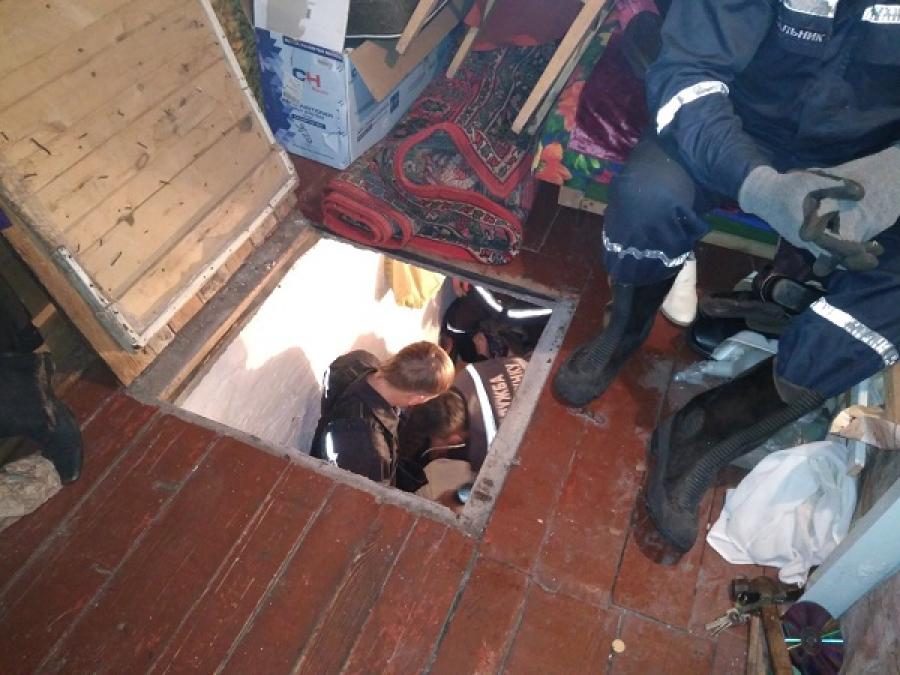 Кременчуцька пенсіонерка впала в погріб, травмувавши хребта