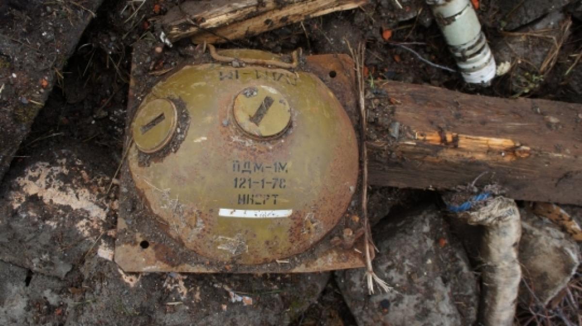 Під Кременчуком в лісосмузі виявили міну