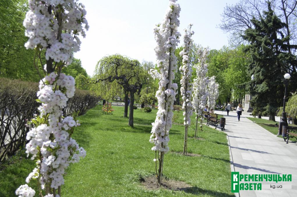 Весенний Кременчуг радует всех своими красками
