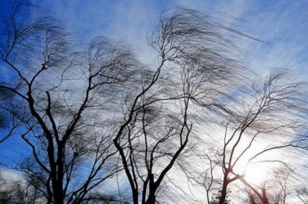 Синоптики предупреждают о сильном ветре