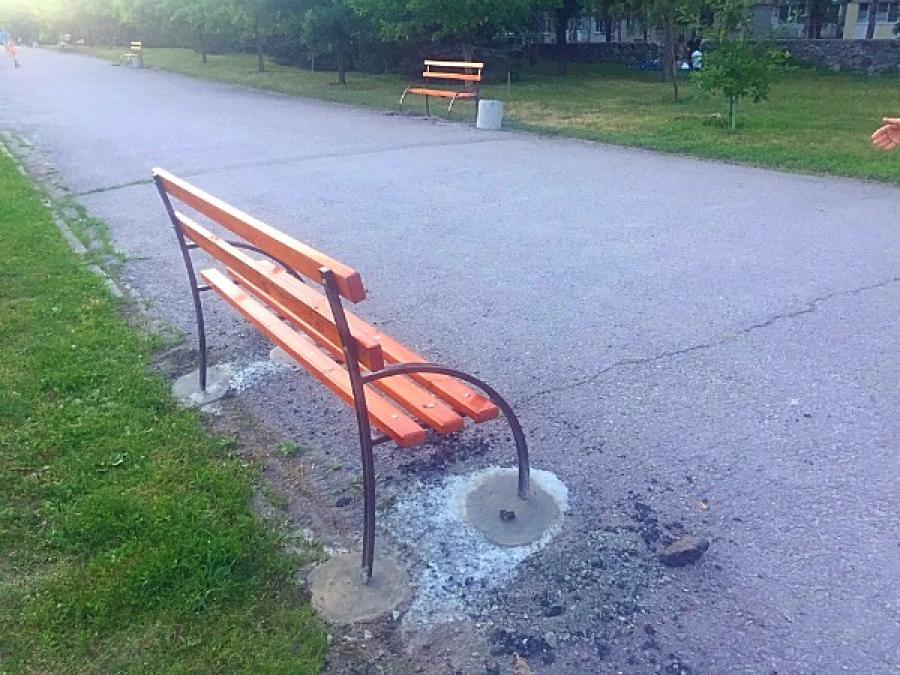 Фотофакт: парк Мира можно поздравить с обновкой