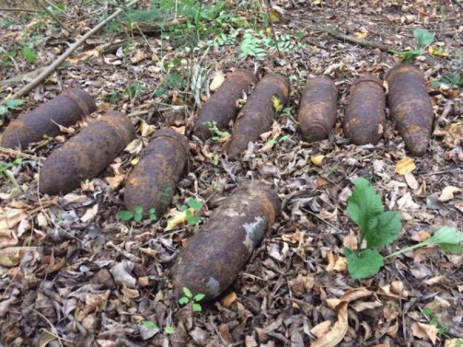 У лісосмузі під Кременчуком знайшли дев’ять снарядів