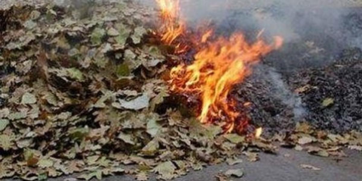 В мэрии думают, как с этим бороться. 