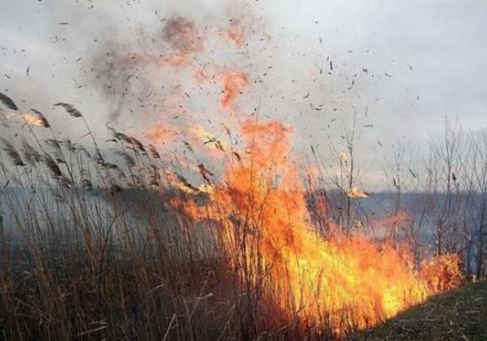 Кременчук в вогні: майже 20 гектарів очерету і сухої трави в місті і навколо вигоріло цього року