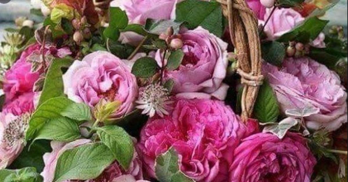 Хто-хто з кременчужан народився 14 квітня