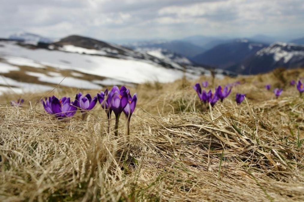 Завтра 9 березня: іменини, свята, прикмети