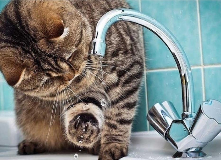 У Крюкові мешканці тупика залишились без води