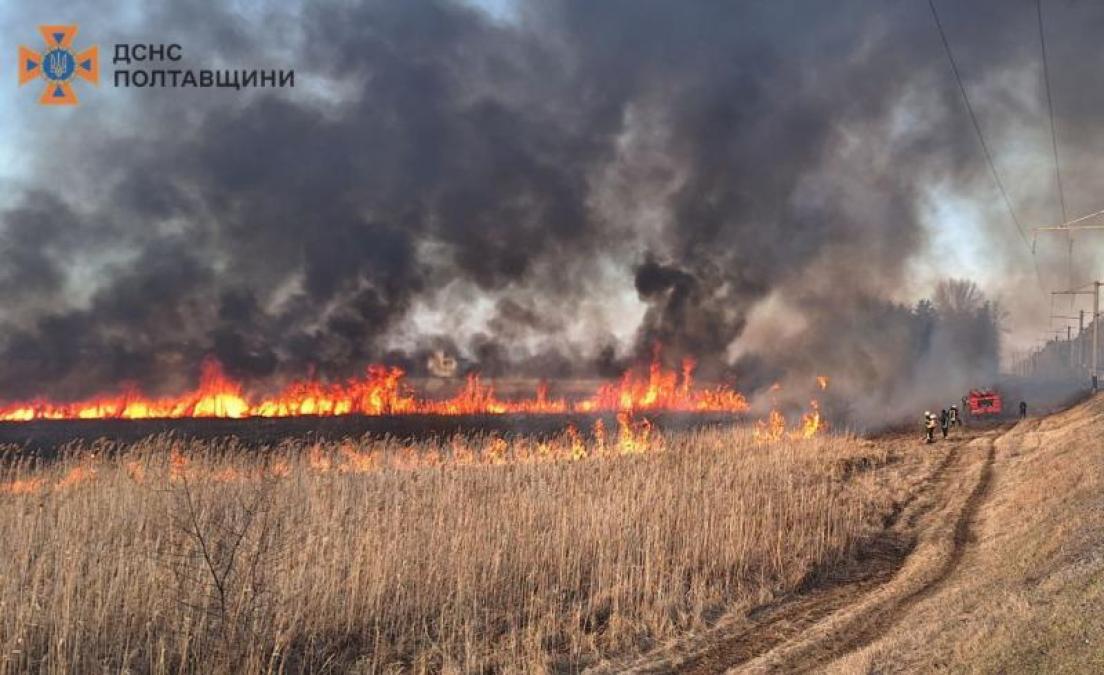 Вогонь знищує природу: у Кременчуцькому районі вигоріли гектари сухостою