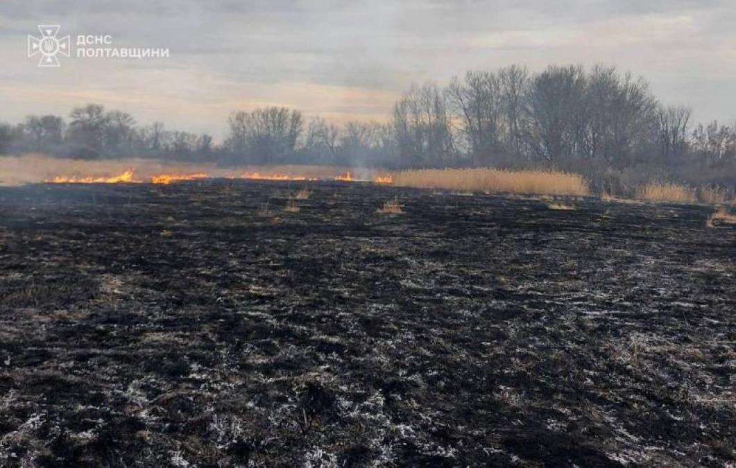 У Кременчуцькому районі горіла суха трава