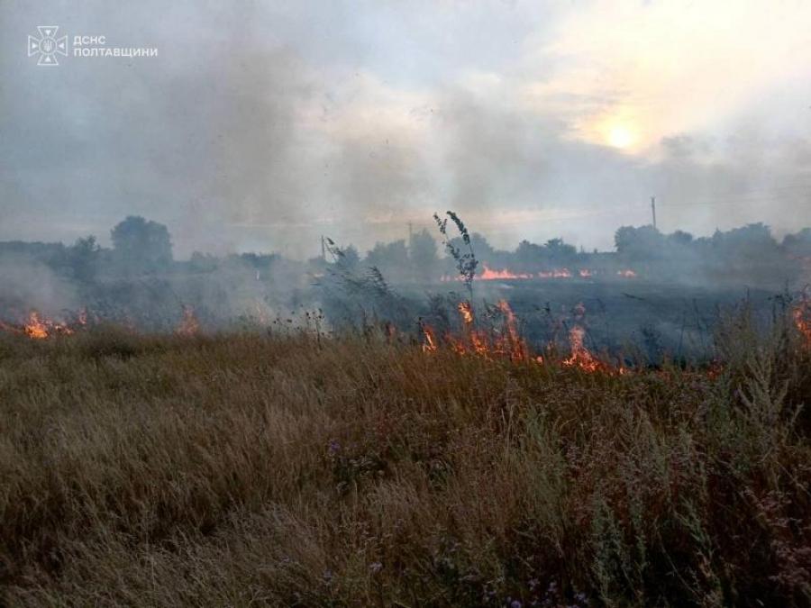Пів гектара у вогні: поблизу Козельщини горіла суха рослинність