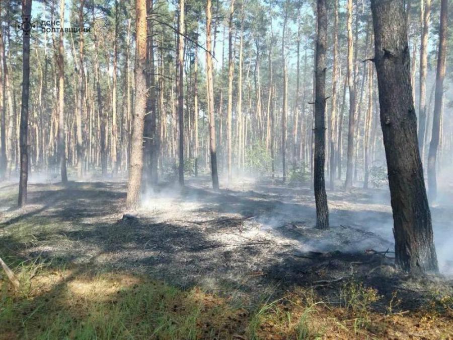 Вогонь охопив майже гектар лісу: у Кременчуцькому районі за добу сталося кілька пожеж
