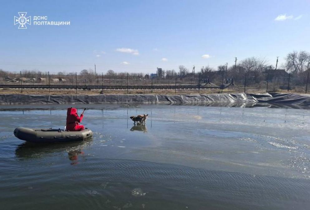 У Кременчуцькому районі собаки дрейфували на крижині