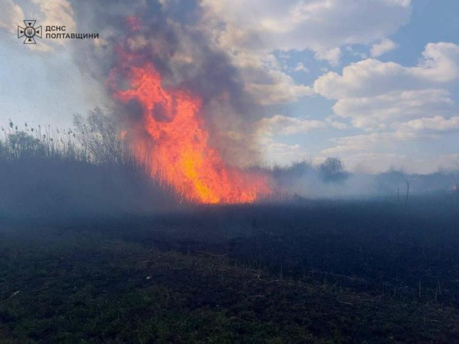 Понад 2 гектари у вогні: під Кременчуком гасили масштабну пожежу сухостою