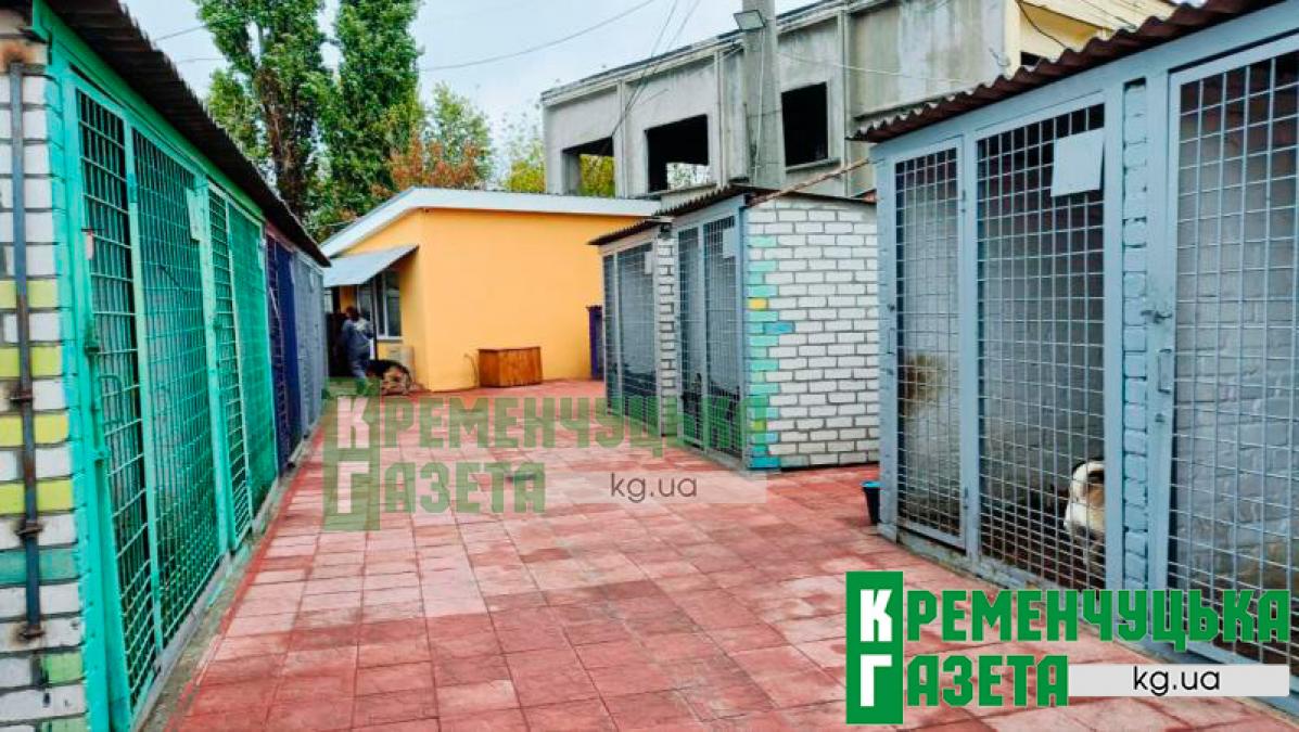 Електронний облік тварин і новий графік роботи лікарів: як новий директор «Спецсервісу» реформує підприємство