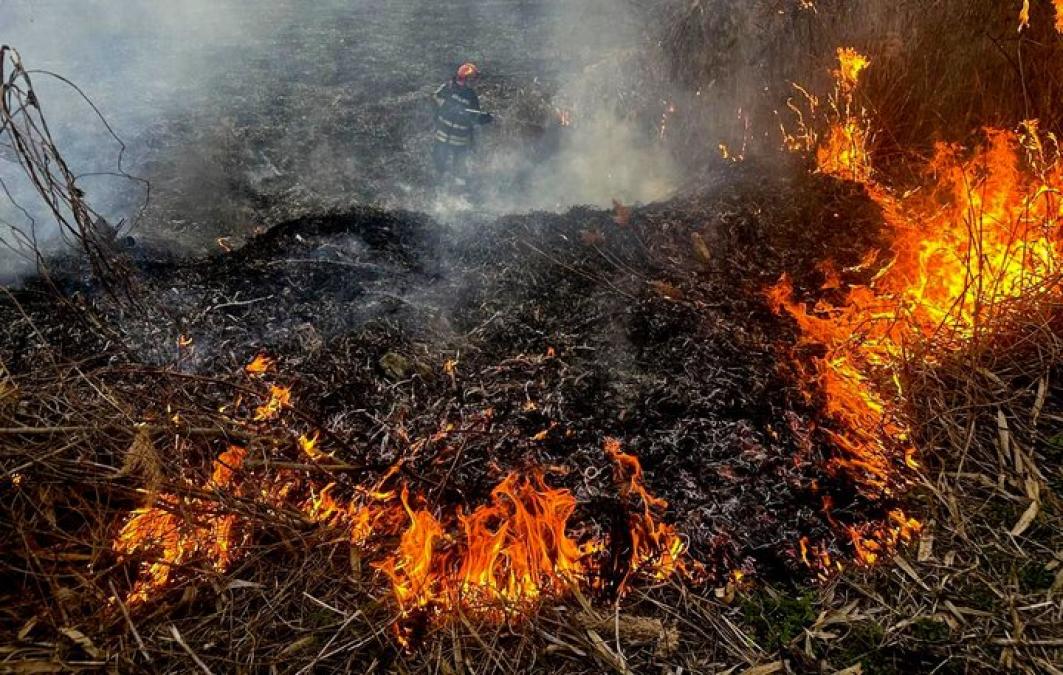 У Піщаному та Максимівці горіло сміття: вогонь охопив близько 400 квадратних метрів