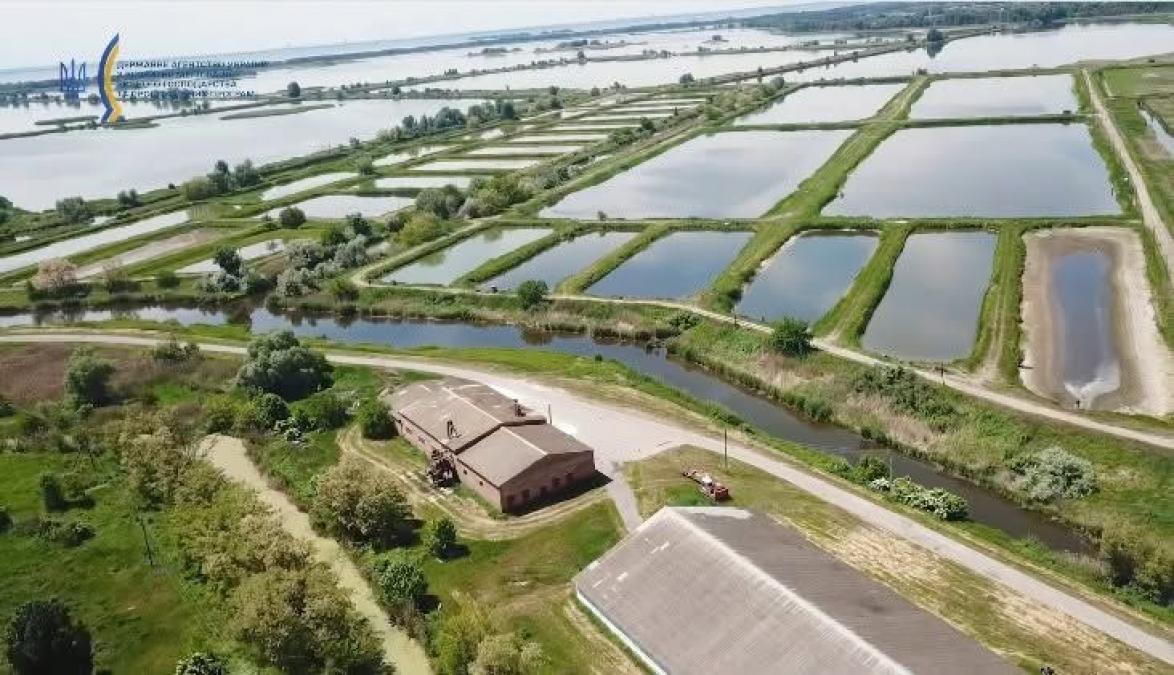 Кременчуцьке водосховище під загрозою: чому Градизька громада захищає Іркліївський риборозплідник