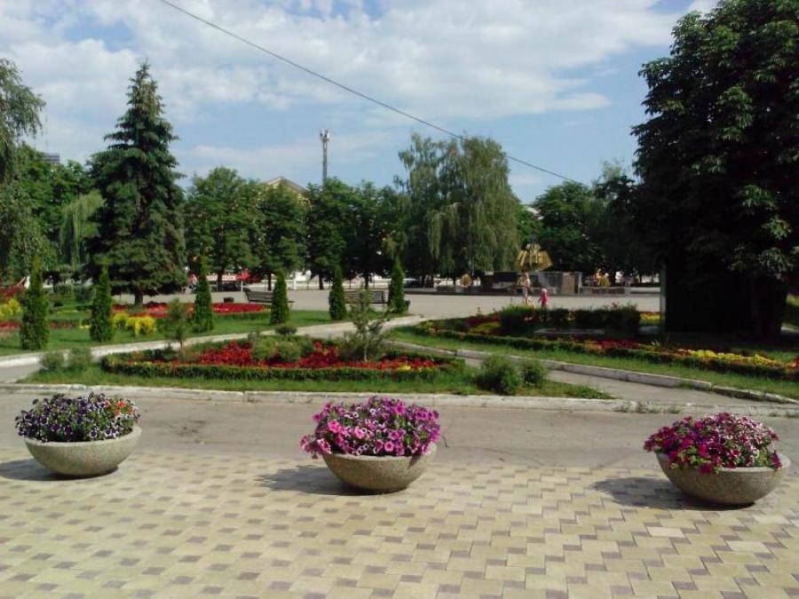 Нові дерева і тисячі квітів: як планує озеленитися Кременчук у 2026 році