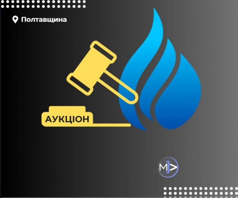 На Полтавщині виставили на аукціон мільйонний борг газового трейдера з оточення голови фракції в Полтавській облраді