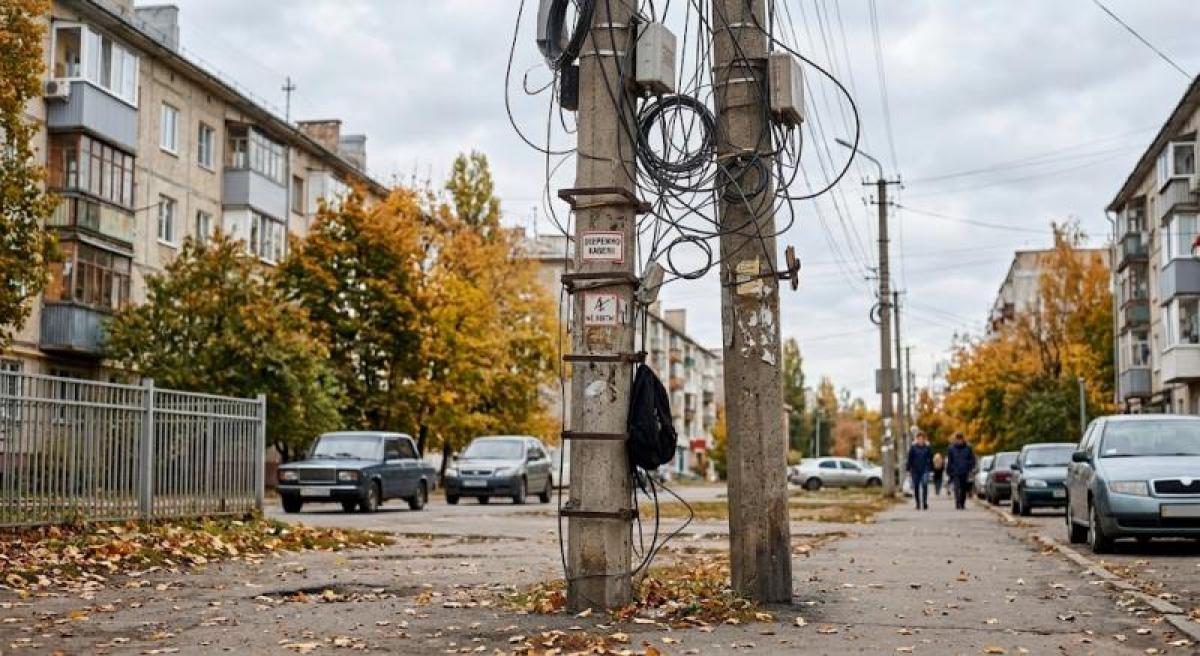 Крони під дроти, дерева під пилу: Малецький обурився діями «Полтаваобленерго»