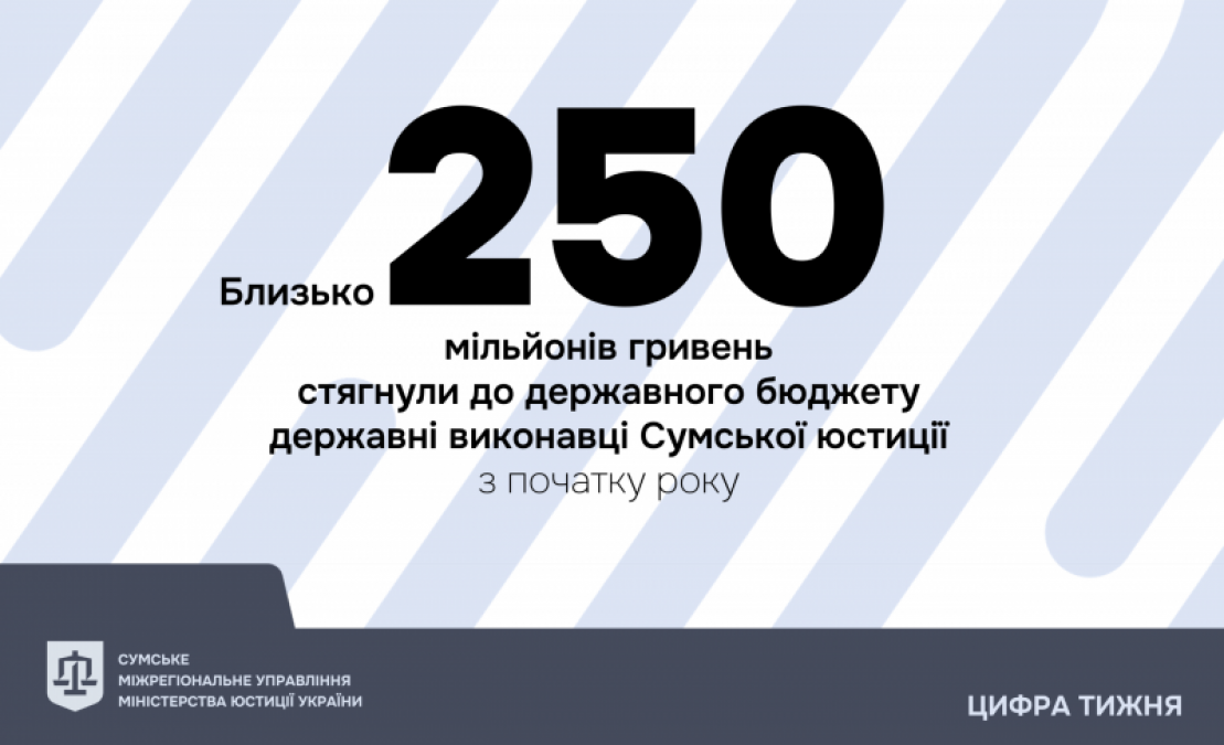 Закон і порядок: як правовий примус долає фінансову безвідповідальність