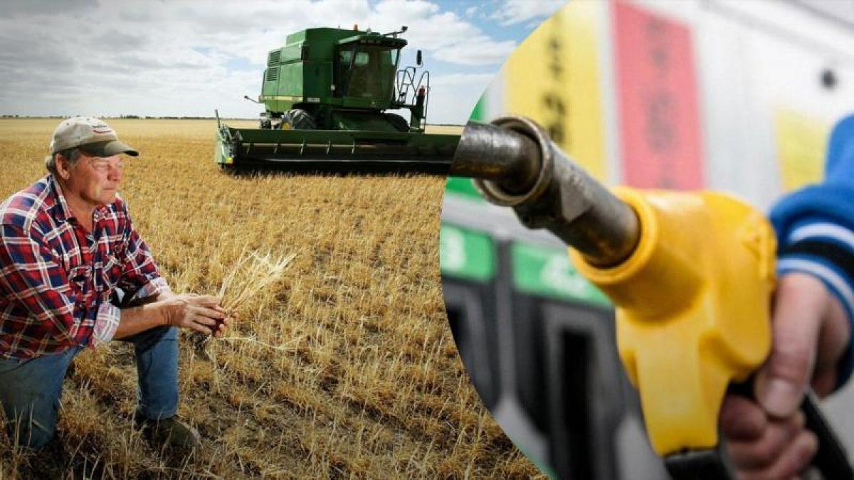 Депутати Полтавської облради обговорили компенсації витрат на пальне для фермерів