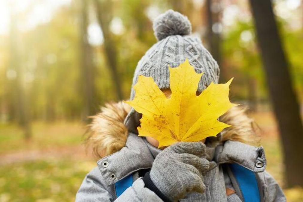 Осінні канікули у Кременчуці розпочнуться 26 жовтня