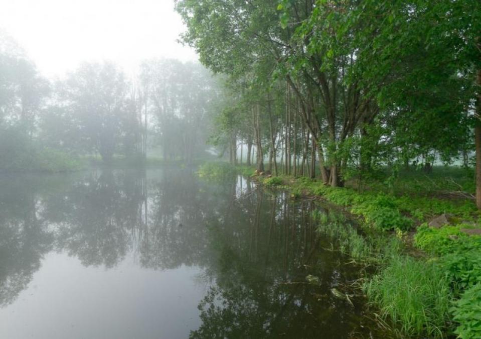 Завтра 9 червня: іменини, свята, прикмети