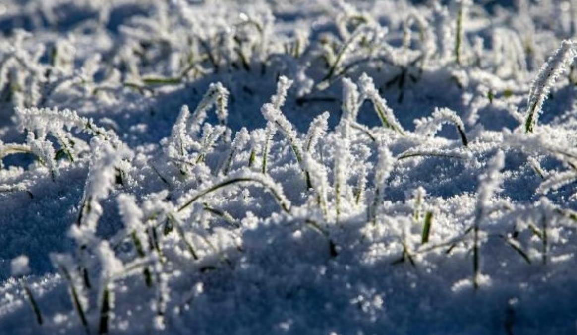 Завтра 10 січня: іменини, свята, прикмети