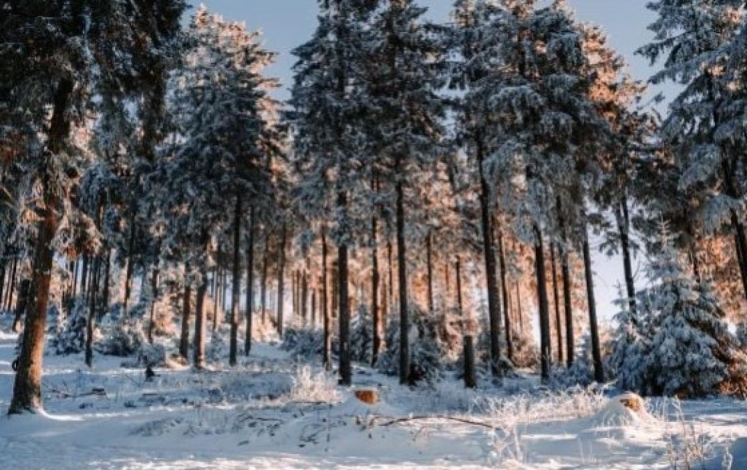 Завтра 3 лютого: іменини, свята, прикмети