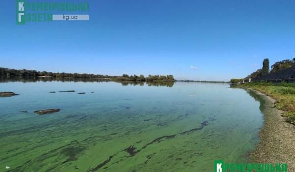 Дніпро в Кременчуці знову перетворився на зелену «калюжу»: вода стоїть, а берег заполонили водорості