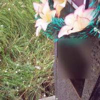 Милиция задержала вандалов, изувечивших более 300-т могил